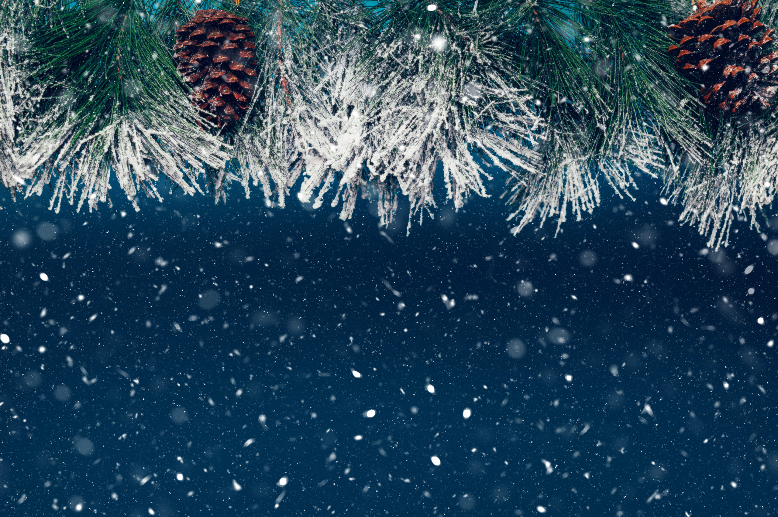 Merry Christmas & Happy New Year 2021